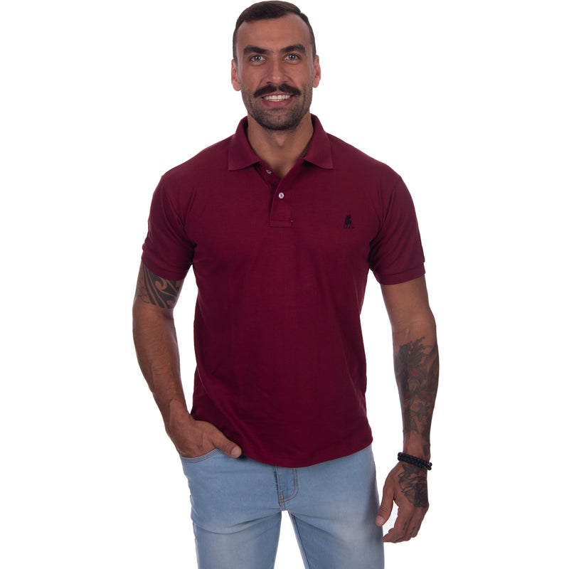 Kit 5 Camisas Polo Masculina Camiseta Blusa De Luxo