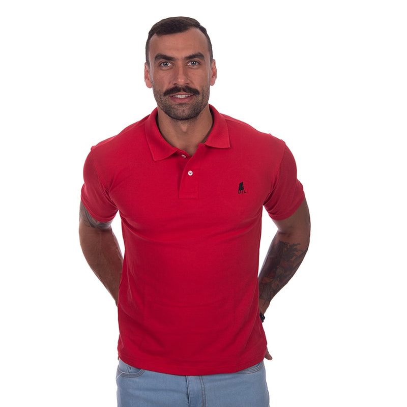 Kit 5 Camisas Polo Masculina Camiseta Blusa De Luxo